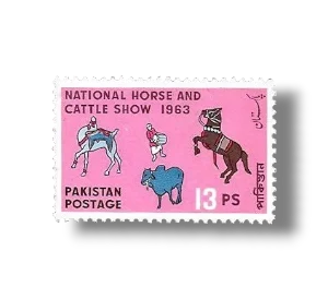 National Horse & Cattle show