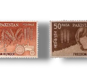 Freedom from Hunger set