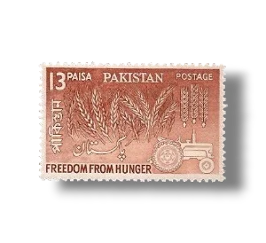 Freedom from Hunger