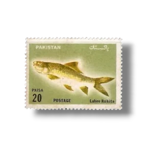 Wildlife series Fishes