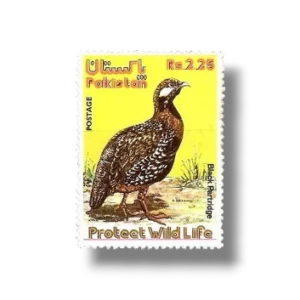 Wild Life series 1 Black Francolin