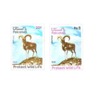 Wild Life Series (2) Urial