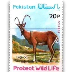 4rth Wild Life Series Ibex