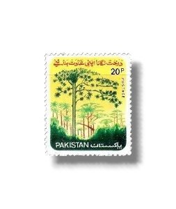 National Tree Plantation