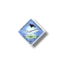 75th Anniversary of First Powered Flight