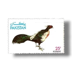 Wild Life Series Kalij Pheasant