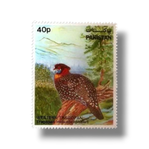 Wild Life Series Western Tragopan