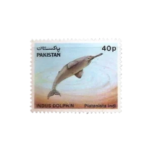 Wild Life Series Indus Dolphin