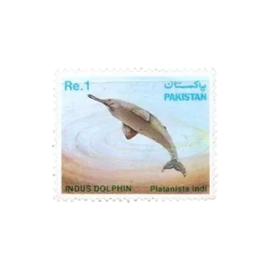 Wild Life Series Indus Dolphin