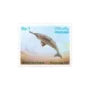 Wild Life Series Indus Dolphin