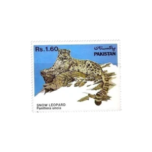 Wild Life Series Snow Leopard (Panthera uncia)