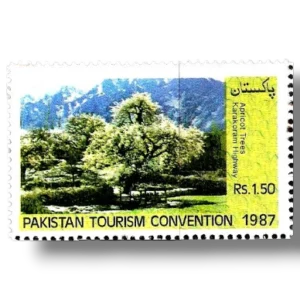 Pakistan Tourism Convention Apricot trees