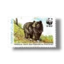 Wildlife protection Asiatic Black Bear