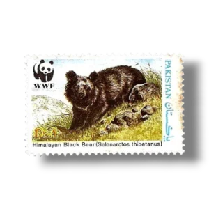 Wildlife protection Asiatic Black Bear