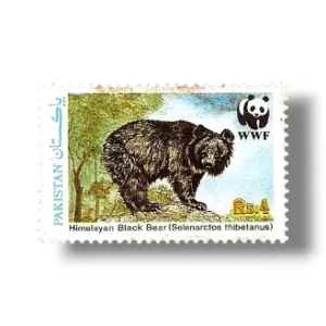 Wildlife protection Asiatic Black Bear