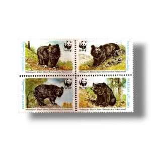 Wildlife protection Asiatic Black Bear Ursus thibetanus