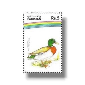 Water Birds Mallard