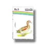 Water Birds Gadwal