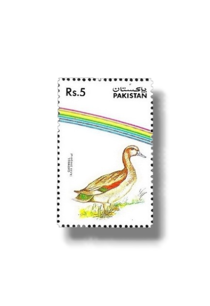 Water Birds Gadwal