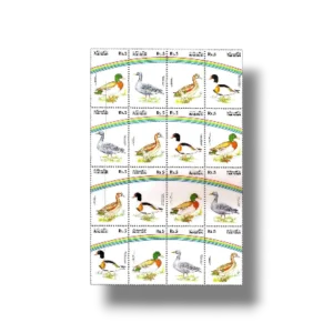 Water Birds set