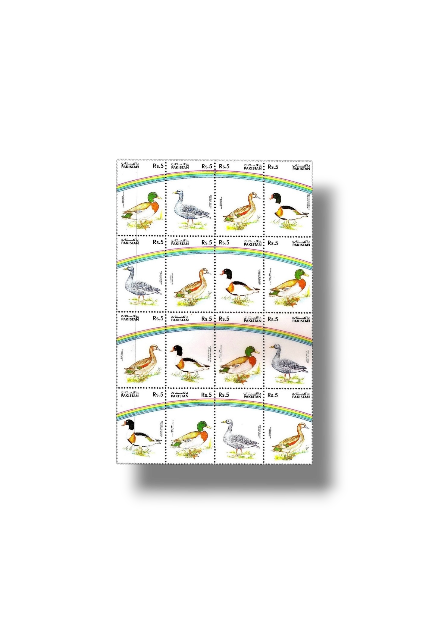 Water Birds set