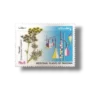Medicinal Plants Fennel