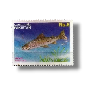 Brown Trout Salmo trutta f fario