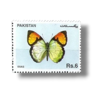 Butterflies Yellow Orange Tip (Ixias pyrene)