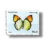 Butterflies Yellow Orange Tip (Ixias pyrene)