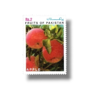 Fruits of Pakistan Apple