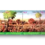 "Sarfaroshaane Tehreeke Pakistan"