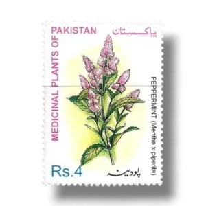 Medicinal Plants Peppermint