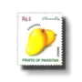 Mangos Chaunsa