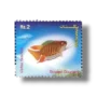 Popular Aquarium Varieties of Tropical fish Striped Gourami
