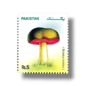 Mushrooms