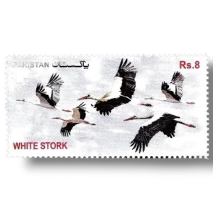 Birds White Stork Ciconia ciconia