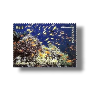 The Arabian Sea Coral Reefs