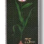 75 Years of Diplomatic Relations with the Netherlands