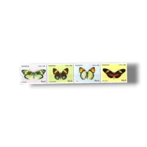 Butterflies