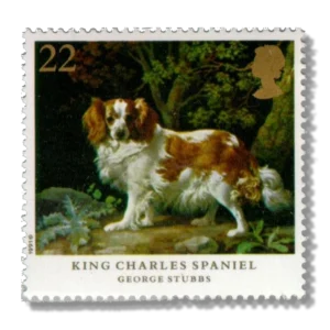 1991 GB1531 Cavalier-King-Charles-Spaniel (Canis lupus familiaris)