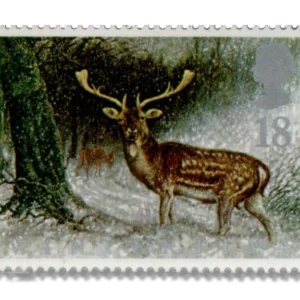 1992 GB1587 Fallow Deer (Dama dama)