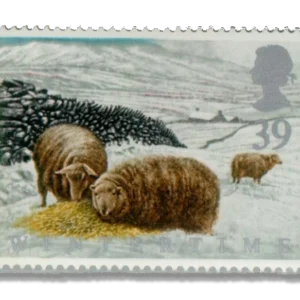 1992 GB1591 Cymru - Wales - Welsh Mountain Sheep