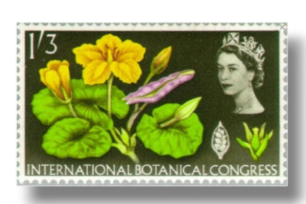 International Botanical Congress Fringed Water Lily