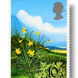 Daffodil