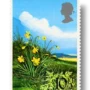 Daffodil