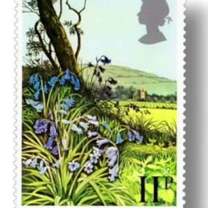 Bluebell