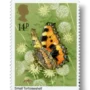 Tortoiseshell