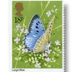 Large Blue