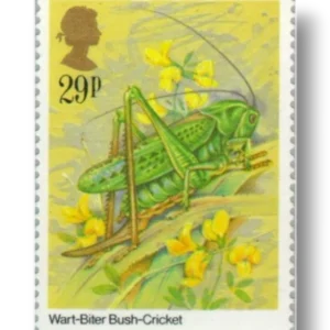 Wart-biter